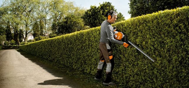 Comment bien entretenir son jardin avec un taille haie ?