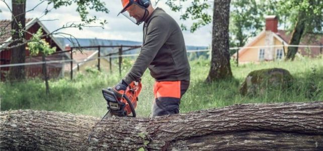 Bien choisir sa tronçonneuse : 4 points importants à considérer